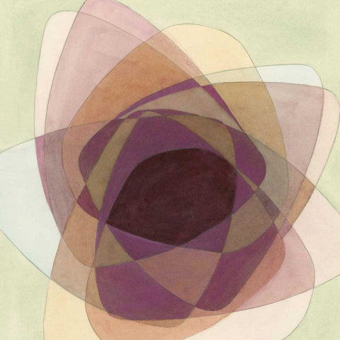 Rose Facet II Black Modern Wood Framed Art Print with Double Matting by Stramel, Renee W.