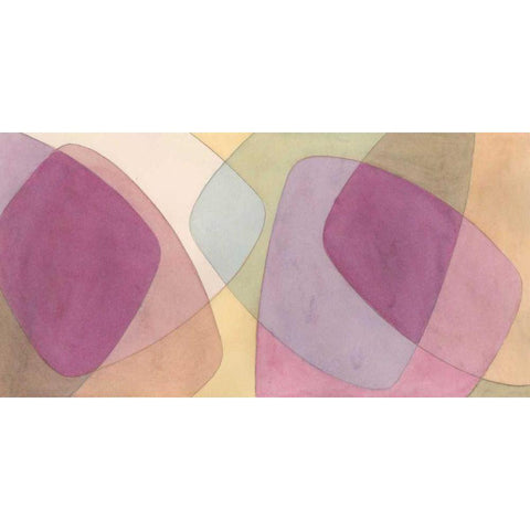 Orchid Scribe II Black Modern Wood Framed Art Print with Double Matting by Stramel, Renee W.