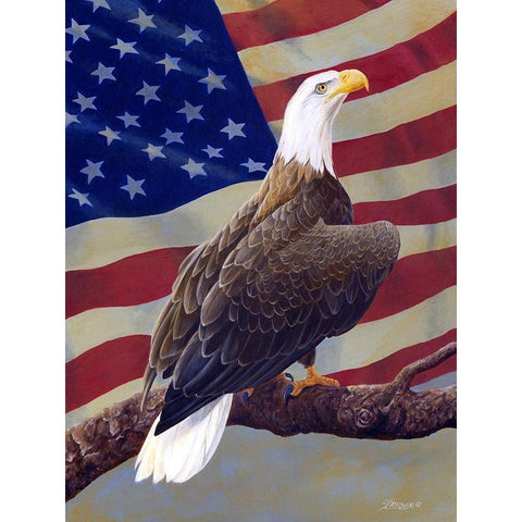 In All Its Glory White Modern Wood Framed Art Print by Szatkowski, Fred