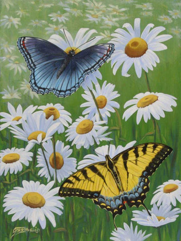 Butterflies and Daisies White Modern Wood Framed Art Print with Double Matting by Szatkowski, Fred