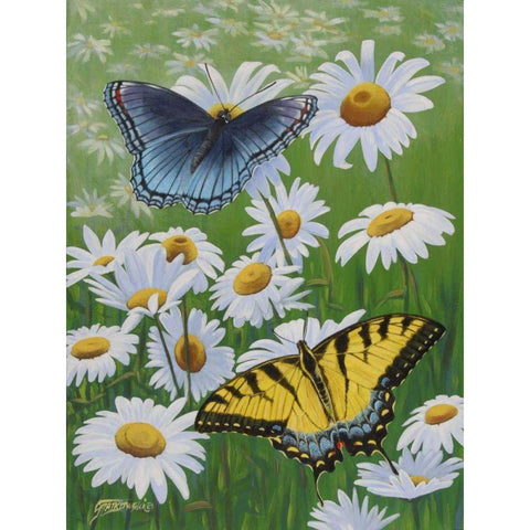 Butterflies and Daisies Black Modern Wood Framed Art Print with Double Matting by Szatkowski, Fred