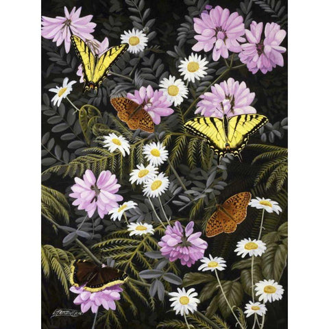 Tapestry of Butterflies Black Modern Wood Framed Art Print with Double Matting by Szatkowski, Fred