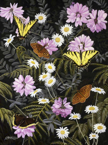 Tapestry of Butterflies White Modern Wood Framed Art Print with Double Matting by Szatkowski, Fred