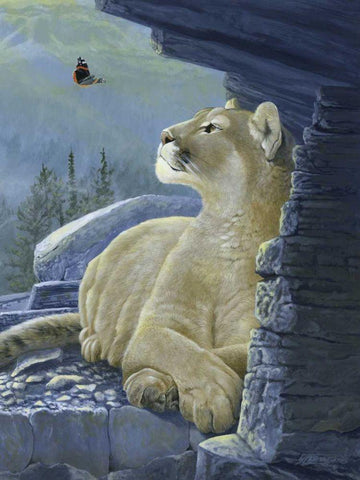 Passing Glance White Modern Wood Framed Art Print with Double Matting by Szatkowski, Fred