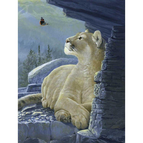 Passing Glance Black Modern Wood Framed Art Print by Szatkowski, Fred