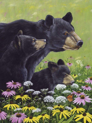 Black Bears White Modern Wood Framed Art Print with Double Matting by Szatkowski, Fred