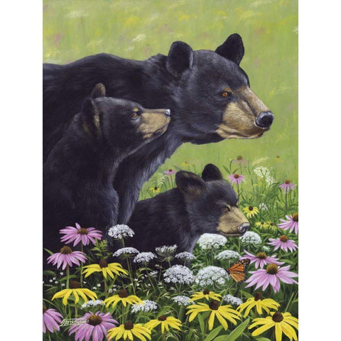 Black Bears Black Modern Wood Framed Art Print with Double Matting by Szatkowski, Fred