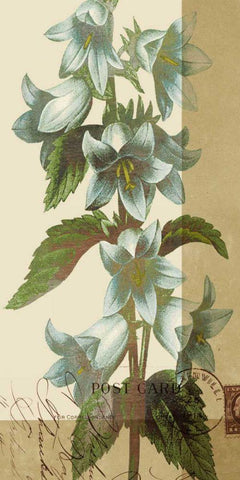 French Blue I Black Ornate Wood Framed Art Print with Double Matting by Green-Aldridge, W.