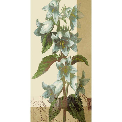 French Blue I Black Modern Wood Framed Art Print with Double Matting by Green-Aldridge, W.