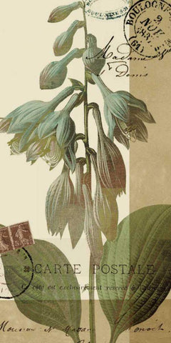 French Blue II Black Ornate Wood Framed Art Print with Double Matting by Green-Aldridge, W.