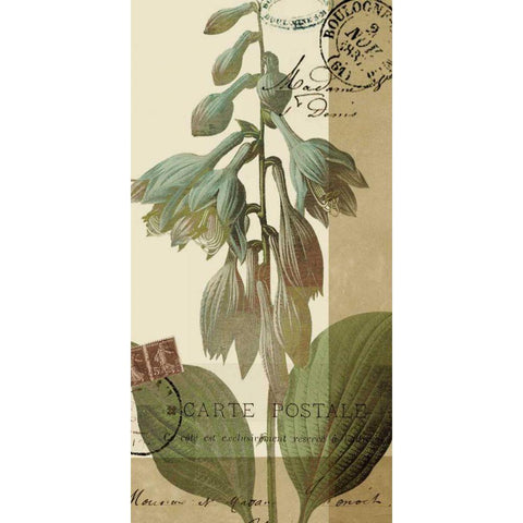 French Blue II White Modern Wood Framed Art Print by Green-Aldridge, W.