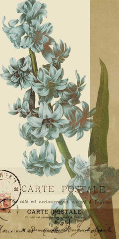 French Blue III Black Ornate Wood Framed Art Print with Double Matting by Green-Aldridge, W.