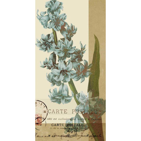 French Blue III Black Modern Wood Framed Art Print by Green-Aldridge, W.