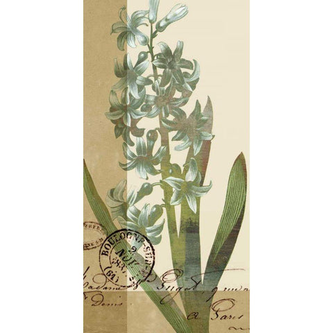 French Blue IV Black Modern Wood Framed Art Print with Double Matting by Green-Aldridge, W.