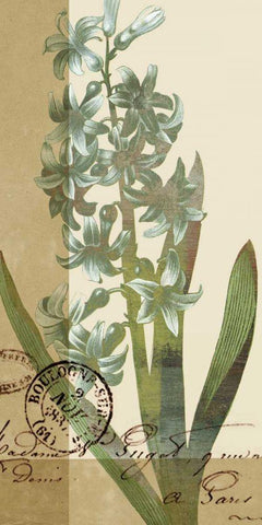 French Blue IV Black Ornate Wood Framed Art Print with Double Matting by Green-Aldridge, W.