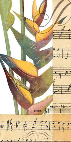 Emeraude Opera II White Modern Wood Framed Art Print with Double Matting by Green-Aldridge, W.