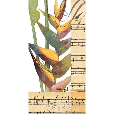 Emeraude Opera II Black Modern Wood Framed Art Print with Double Matting by Green-Aldridge, W.