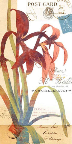 Crowning Glory II Black Ornate Wood Framed Art Print with Double Matting by Green-Aldridge, W.