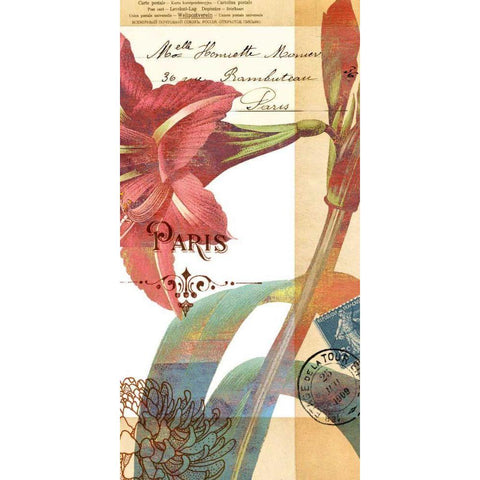 Crowning Glory III Black Modern Wood Framed Art Print with Double Matting by Green-Aldridge, W.