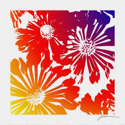 Floral Brights II White Modern Wood Framed Art Print with Double Matting by Burghardt, James