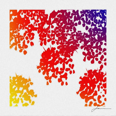 Floral Brights IV Black Modern Wood Framed Art Print by Burghardt, James