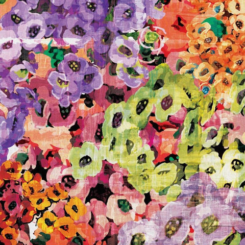 Floral Barrage III Black Modern Wood Framed Art Print with Double Matting by Burghardt, James