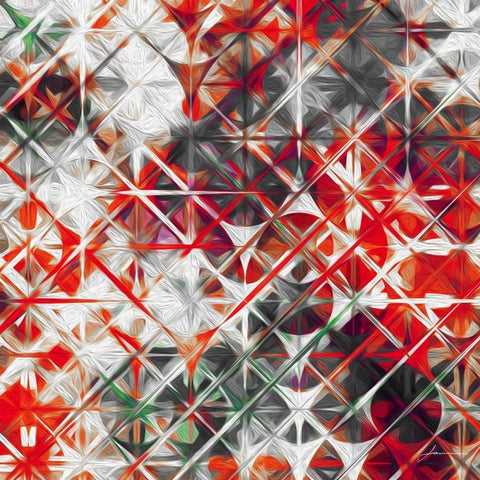 Starscreen I Black Ornate Wood Framed Art Print with Double Matting by Burghardt, James