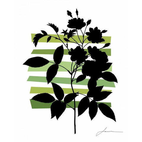 Color Shade II Black Modern Wood Framed Art Print by Burghardt, James