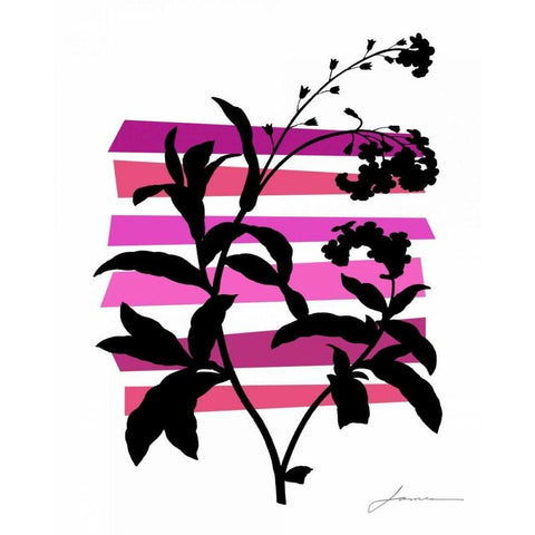 Color Shade V Black Modern Wood Framed Art Print with Double Matting by Burghardt, James