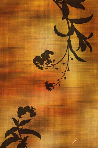 Sepia Floral I White Modern Wood Framed Art Print with Double Matting by Burghardt, James