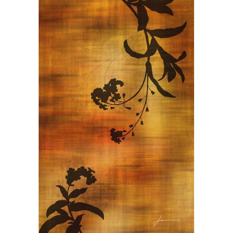 Sepia Floral I Black Modern Wood Framed Art Print with Double Matting by Burghardt, James