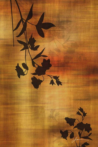 Sepia Floral II White Modern Wood Framed Art Print with Double Matting by Burghardt, James