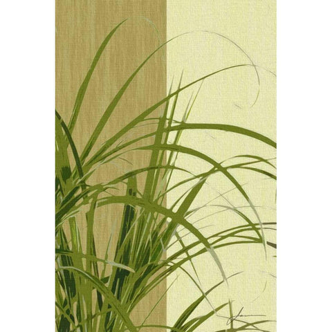 Painted Contrast Leaves III Black Modern Wood Framed Art Print by Burghardt, James