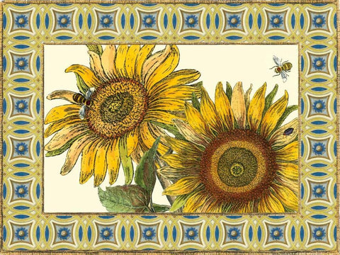 Classical Sunflower II White Modern Wood Framed Art Print with Double Matting by Vision Studio