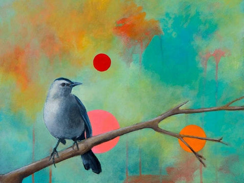 Mysteries of the Universe X Black Ornate Wood Framed Art Print with Double Matting by Evans, Bridget G.