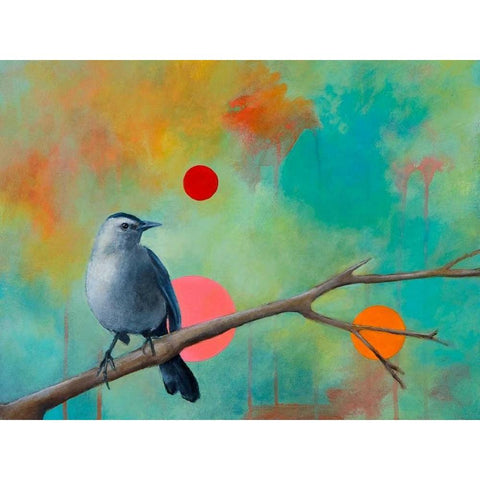 Mysteries of the Universe X Black Modern Wood Framed Art Print by Evans, Bridget G.