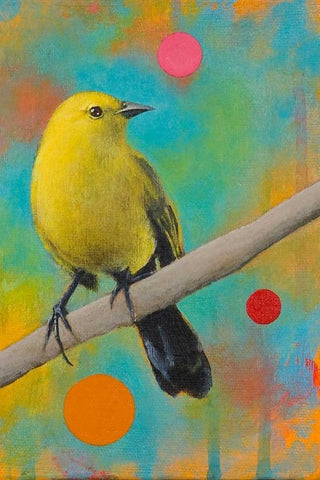 Mysteries of the Universe XII Black Ornate Wood Framed Art Print with Double Matting by Evans, Bridget G.