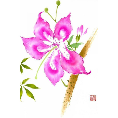 Hibiscus Flower II White Modern Wood Framed Art Print by Rae, Nan