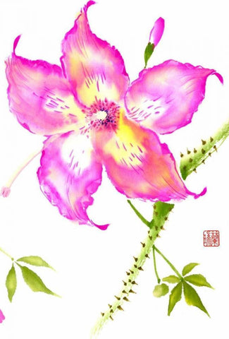 Hibiscus Flower III Black Ornate Wood Framed Art Print with Double Matting by Rae, Nan