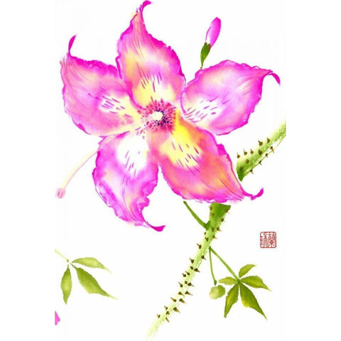 Hibiscus Flower III Black Modern Wood Framed Art Print by Rae, Nan