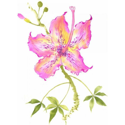 Hibiscus Flower IV White Modern Wood Framed Art Print by Rae, Nan