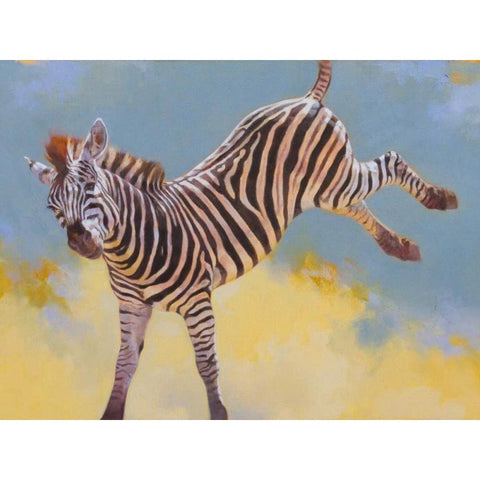 Bucking Zebra Black Modern Wood Framed Art Print with Double Matting by Chapman, Julie