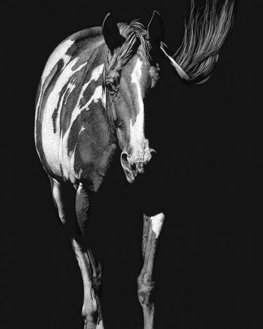 Pattern Meditation White Modern Wood Framed Art Print with Double Matting by Chapman, Julie