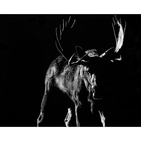 Bullish Gold Ornate Wood Framed Art Print with Double Matting by Chapman, Julie