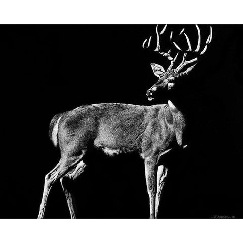 The Prize White Modern Wood Framed Art Print by Chapman, Julie