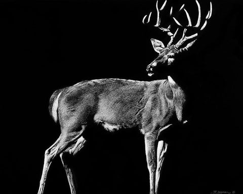 The Prize White Modern Wood Framed Art Print with Double Matting by Chapman, Julie