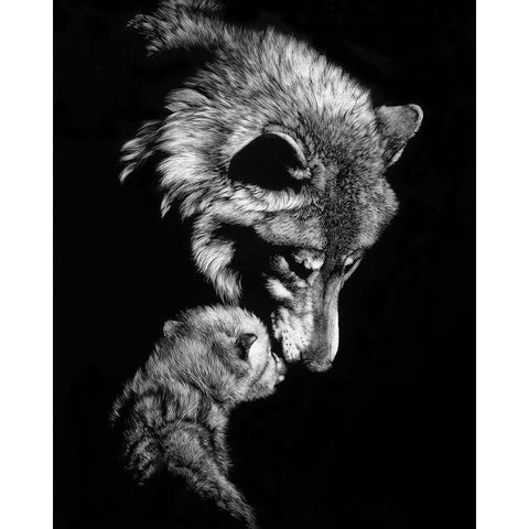 Tenderness Black Modern Wood Framed Art Print by Chapman, Julie