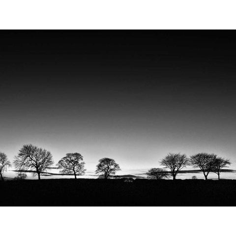 Treeline Light Black Modern Wood Framed Art Print by Henson, Martin