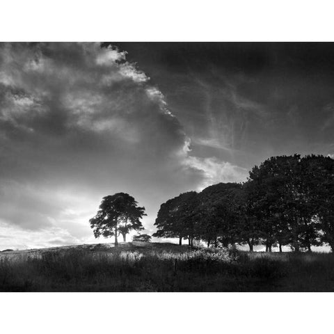 Touched by Sunlight Black Modern Wood Framed Art Print by Henson, Martin