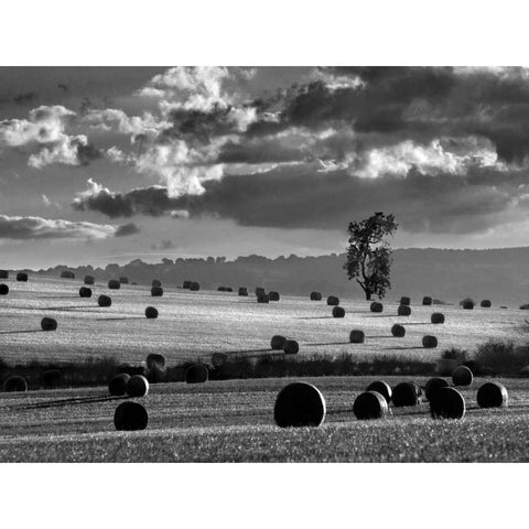 Rolls of Hay Black Modern Wood Framed Art Print by Henson, Martin